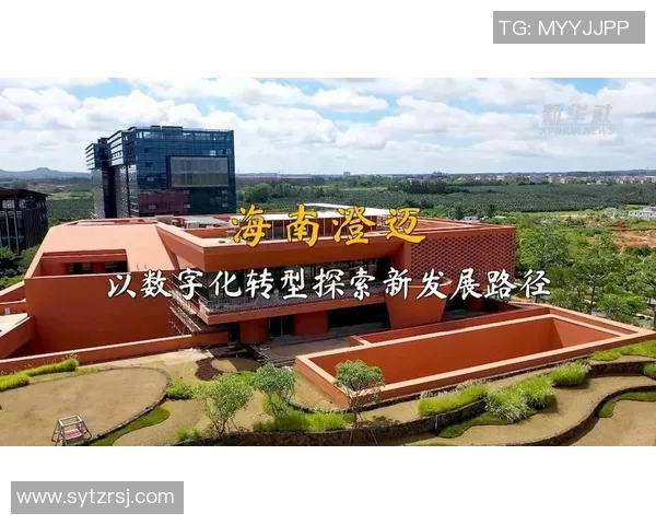 南京篮球队的控制革新探索与发展路径分析